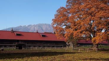 マウンテン ビュー / 10