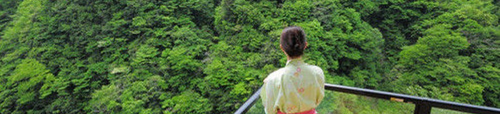 プライベートな旅を楽しもう。非日常体験ができる「1日10組以下限定」の宿10選/四国