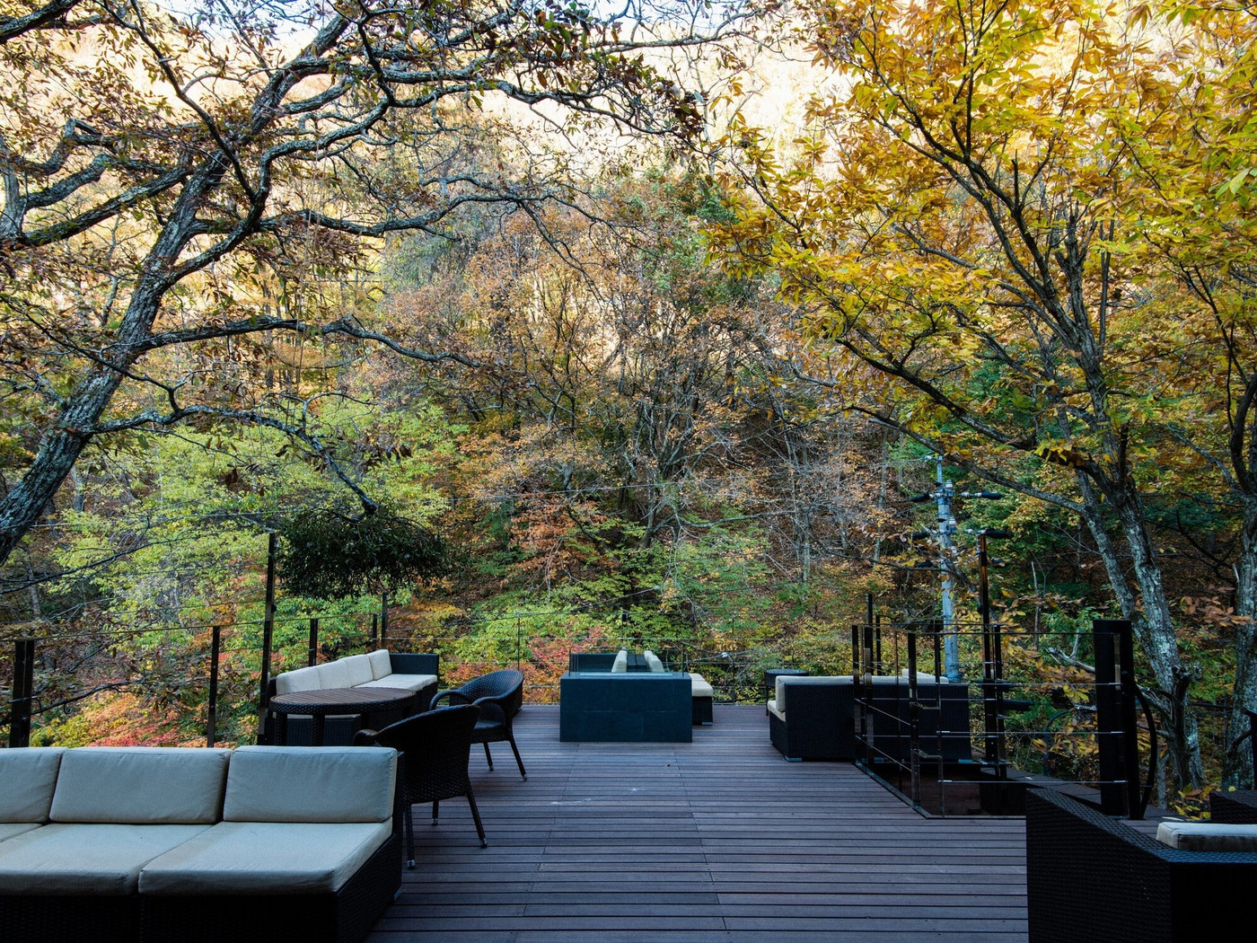 高原の大自然の中で地元野菜を贅沢に堪能3483966