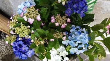 施設の敷地 / 11