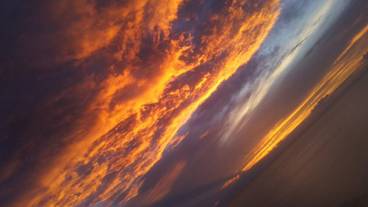 リビング エリア / 21