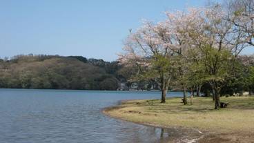 施設からの眺望 / 14