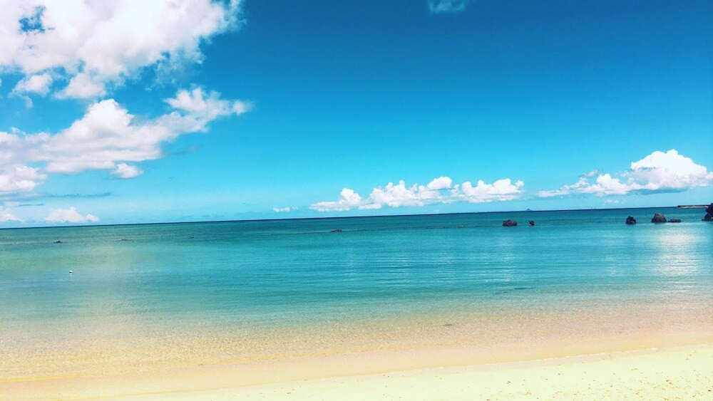 ビーチ / オーシャン ビュー