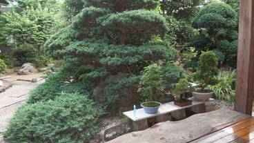 施設からの眺望 / 14