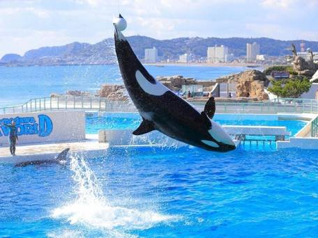 鴨川シーワールドホテル / 2