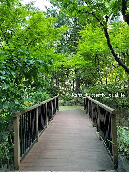 敷地内のガーデン