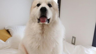 はくろ 2F, 和室４人部屋