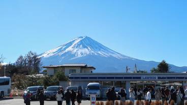 ランド ビュー / 20