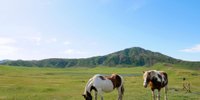 ホースセラピーで癒やしの女子旅へ。乗馬体験がかなうホテル・宿9選／全国