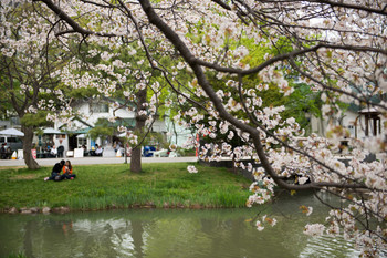 中島公園1557654