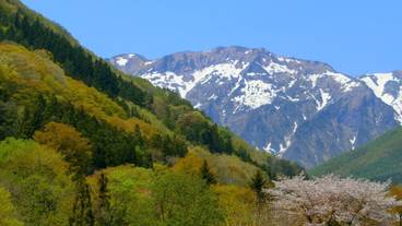 施設からの眺望 / 9