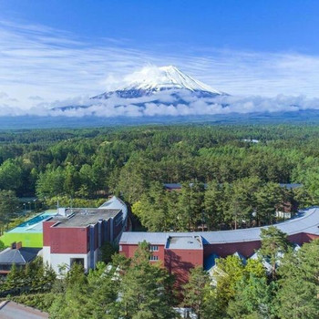 マイナスイオンたっぷりの森ステイ3404519