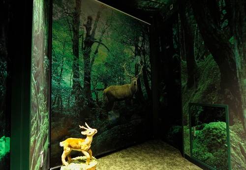 EN SHIBUYA HOTEL（エンホテル 渋谷）（東京都 ビジネスホテル） / 1