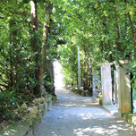 静かな沖縄旅へ。癒しに満ちた「備瀬のフクギ並木周辺」のホテル5選