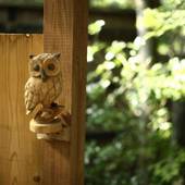 滝の上温泉 お宿 花風月(熊本県 旅館) / 3