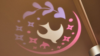 ニッコースーペリアルーム ラウンジアクセス付き 禁煙 11-12階