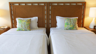 ナチュラルスーペリア・グリーンビュー 禁煙