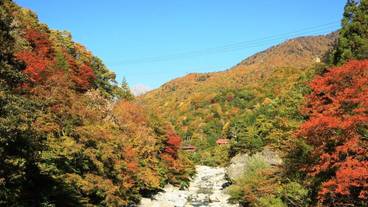 マウンテン ビュー / 5