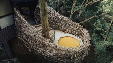 コルボ・デ・オウロ③ / 10