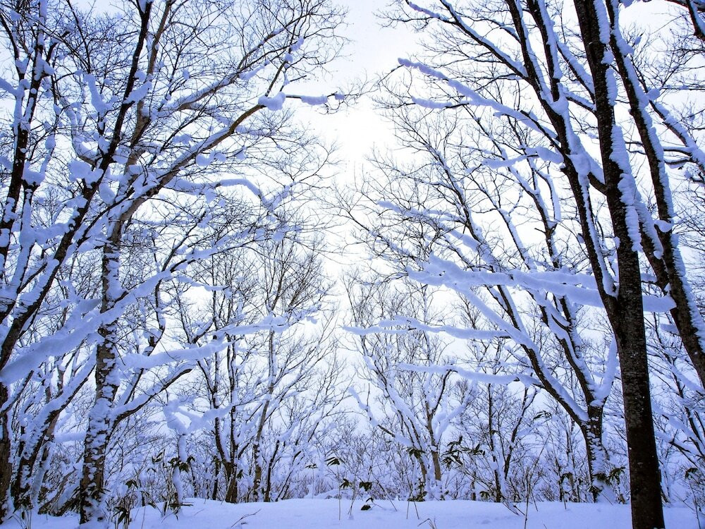 施設からの眺望