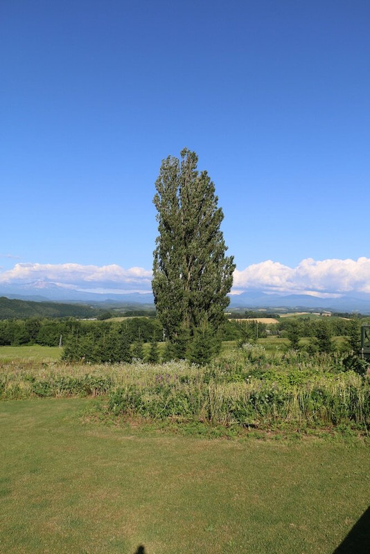 施設からの眺望