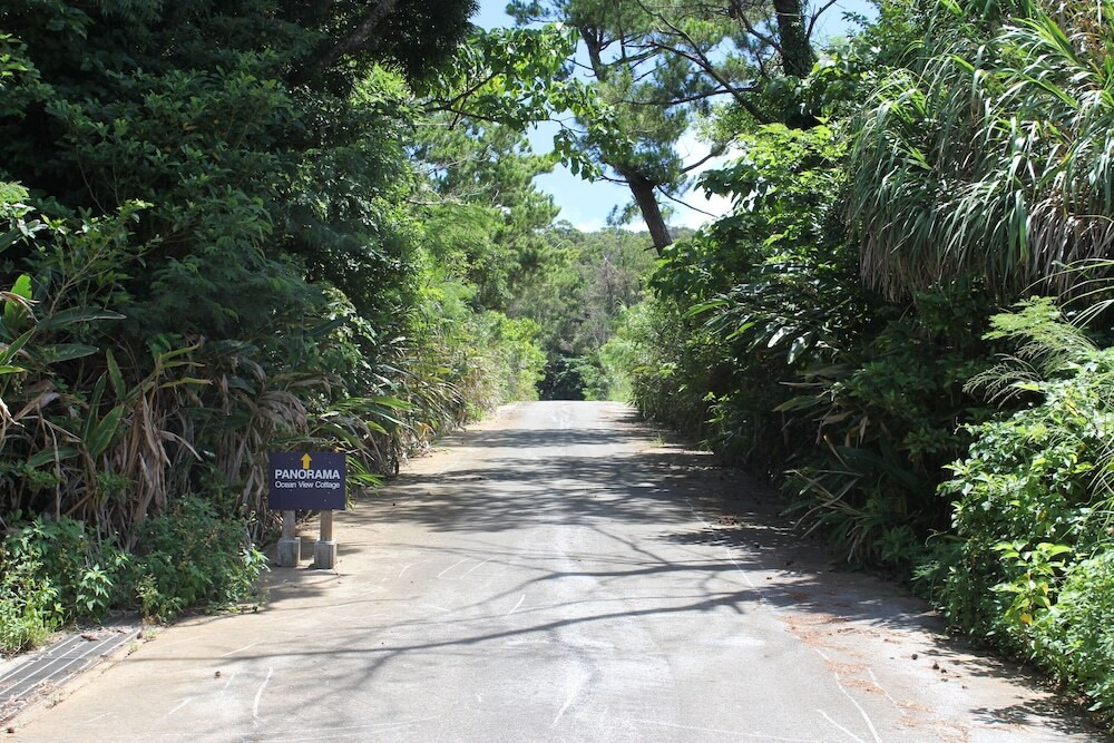 施設からの眺望