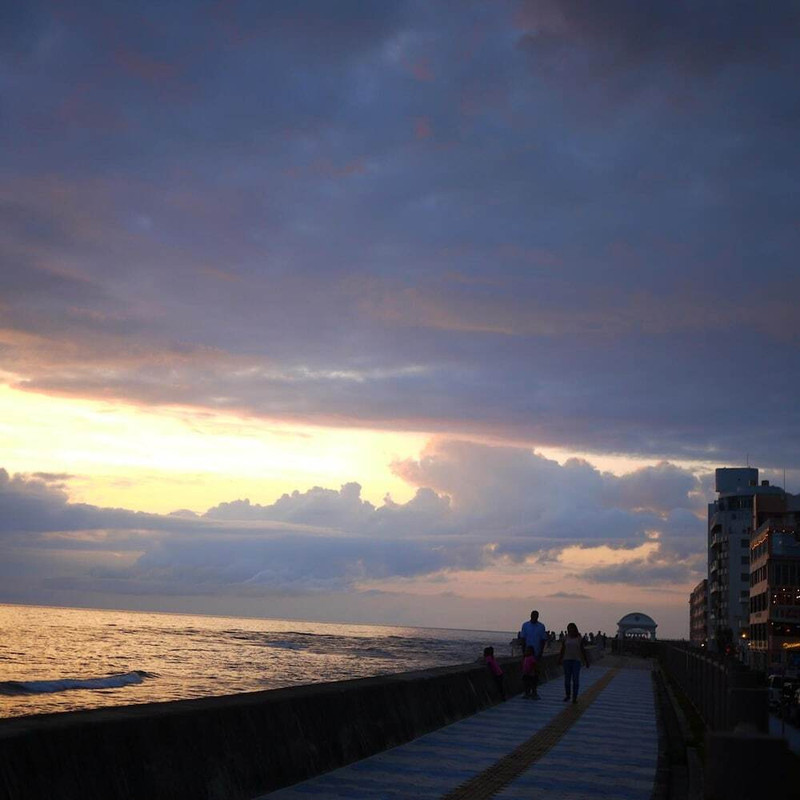 ビーチ / オーシャン ビュー