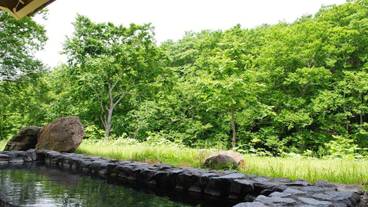 施設の敷地 / 30