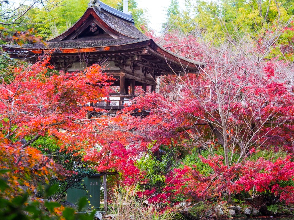 長岳寺2403198