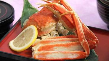 食事・飲み物 / 3