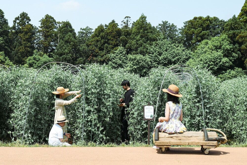 子供向けアクティビティ