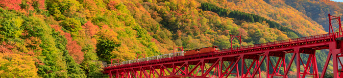 【富山】女子旅で訪れたい宇奈月温泉の渓谷美で心洗われる旅館6選