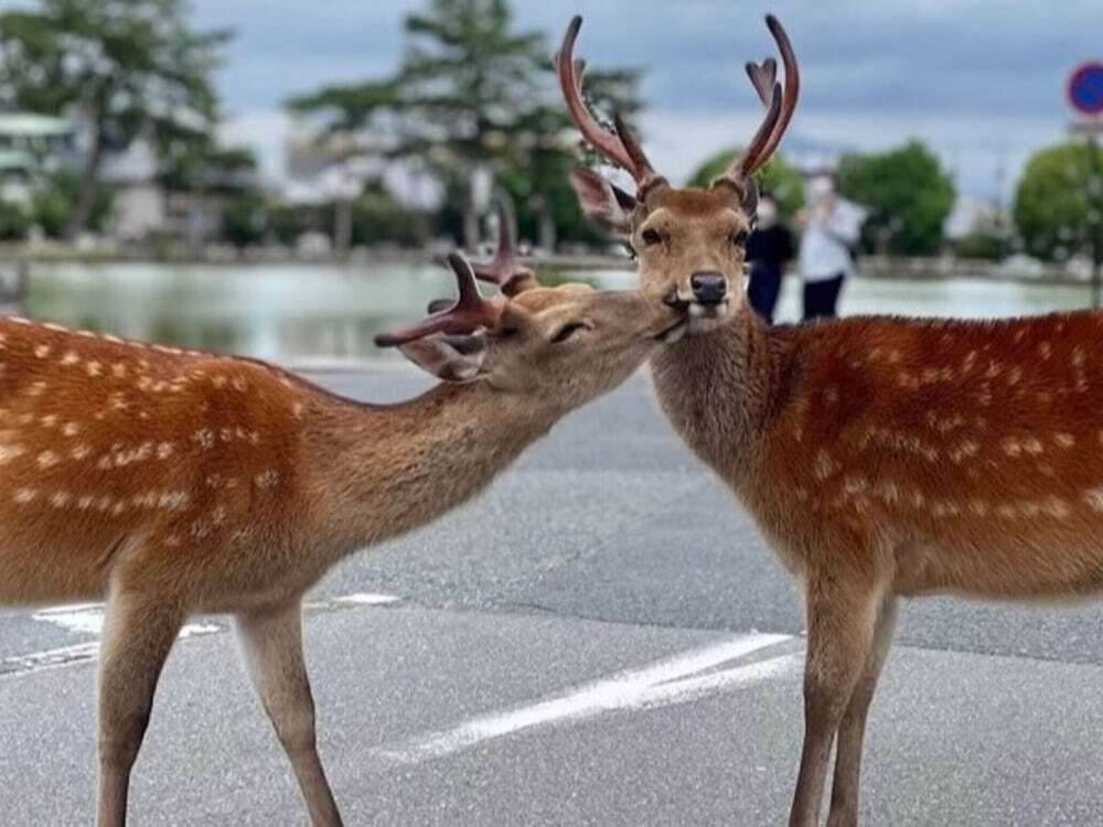 ランド ビュー