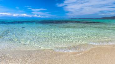 観光スポット / 38