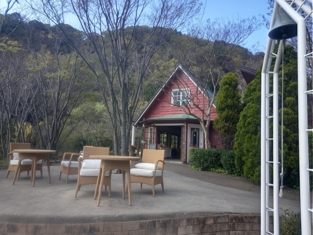 森のカフェです。