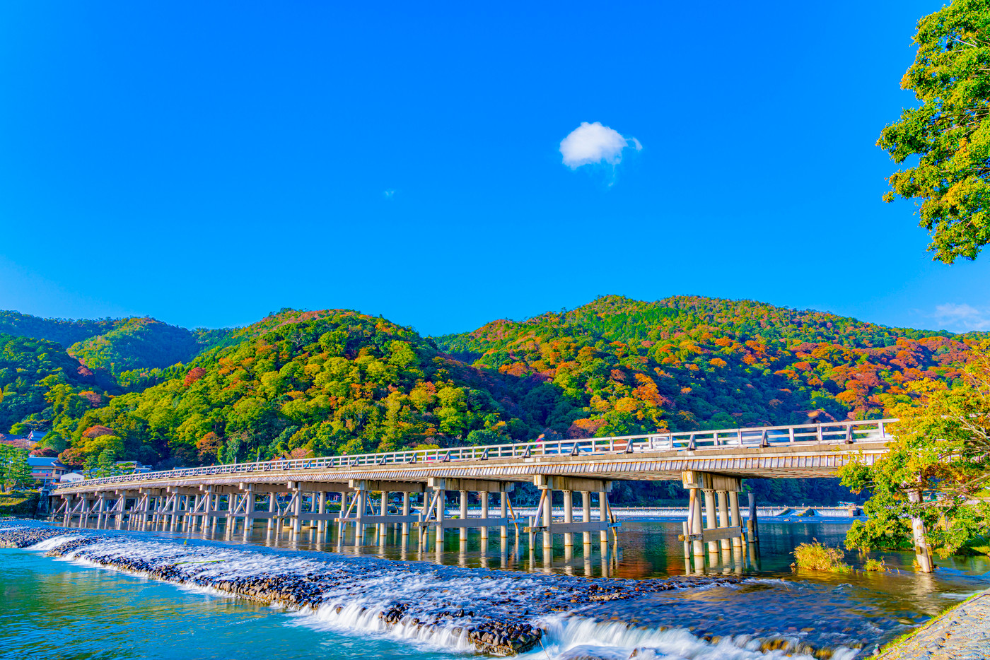 京都　秋の嵐山　渡月橋　