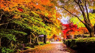 施設の敷地 / 18