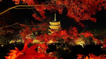 観光スポット / 10