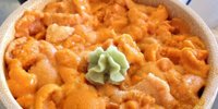 ここでしか食べられないウニ。北海道・積丹の天然うにを食べる！