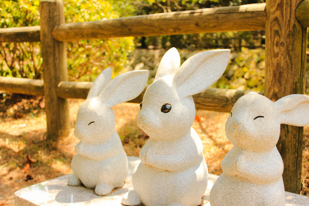 宿内には、神様に助けられた「うさぎ」たちがたくさん♡3913717