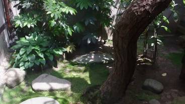 施設の敷地 / 17