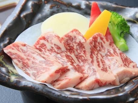 奥日光ホテル四季彩 / 4