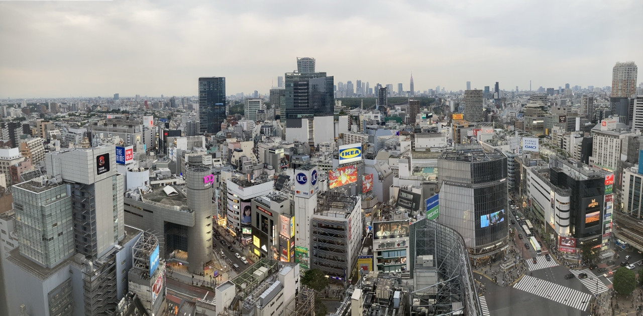 部屋からの眺望（朝の渋谷）