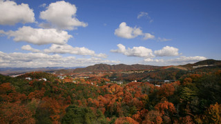 和室 布団 禁煙 マウンテンビュー