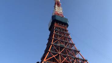 ランド ビュー / 9