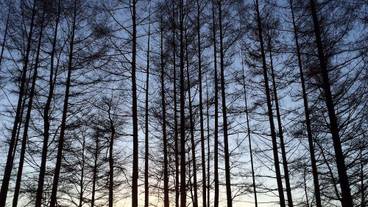 施設からの眺望 / 29