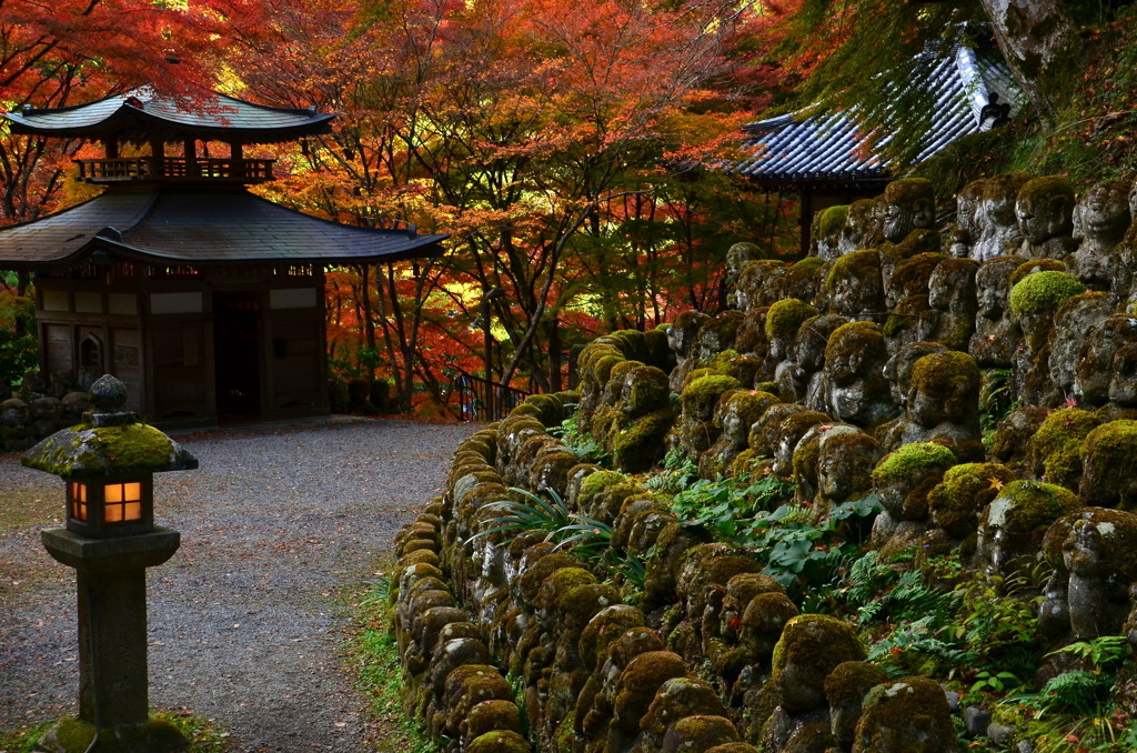 愛宕念仏寺2372694