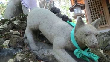 観光スポット / 12