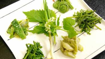 食事・飲み物 / 4