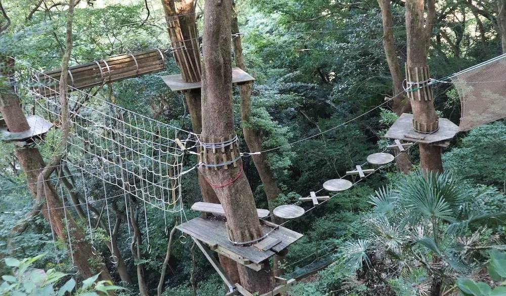 樹上アスレチック「森の空中散歩」。地上9mで全長84.7mのコースを進むドキドキ感たっぷりの人気アクティビティで冒険気分を堪能しましょ。